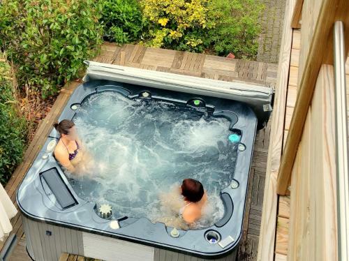 Maison Des �cluses Strasbourg F3 90m2 Jacuzzi Climatisation