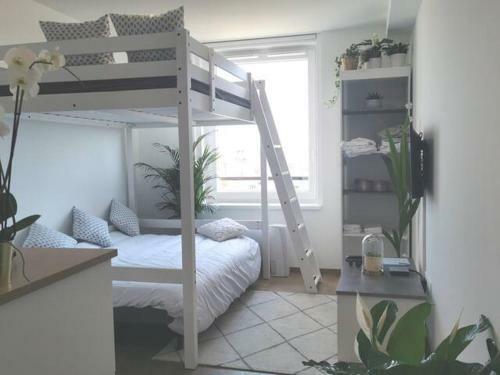 Apartamento Le Cocon - Vue Panoramique Strasbourg - Wifi - Netflix