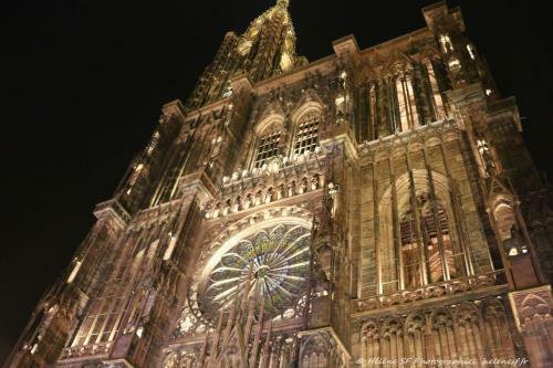 Apartamento Le Cocon - Vue Panoramique Strasbourg - Wifi - Netflix
