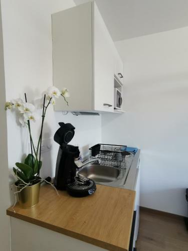 Apartamento Le Cocon - Vue Panoramique Strasbourg - Wifi - Netflix