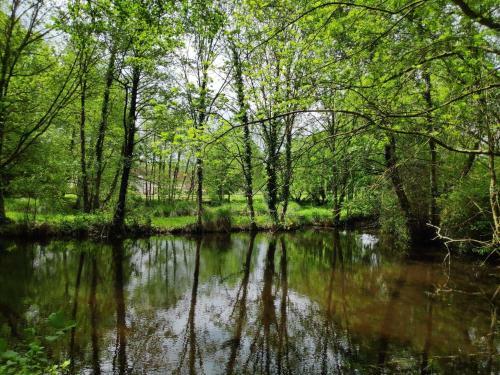 Bed & Breakfast Tra�nefeuilles - Chambres D'h�tes
