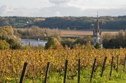 Gite Du Domaine Du Haut Perron
