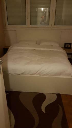 Apartamento Chambre Chez L'habitant � Thiais 94