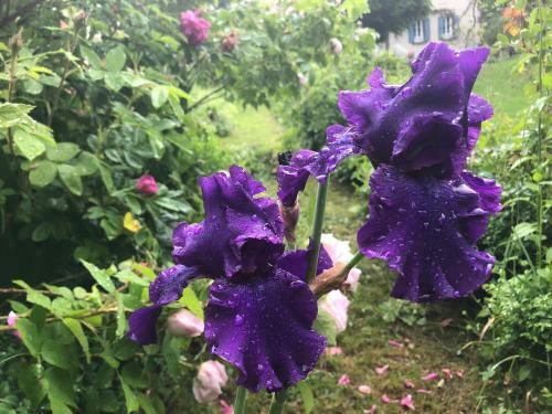 Bed & Breakfast Le Figarelou