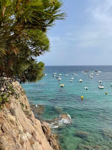 Plutus Voyages