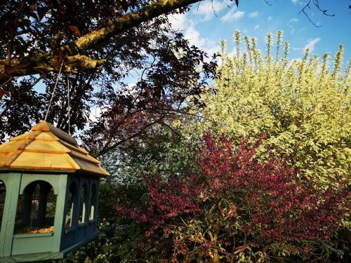 Bed & Breakfast Villa Le Cloky
