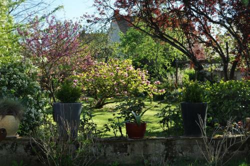 Bed & Breakfast Villa Le Cloky