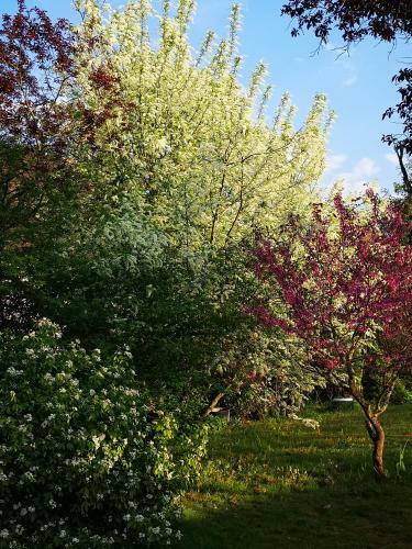 Bed & Breakfast Villa Le Cloky