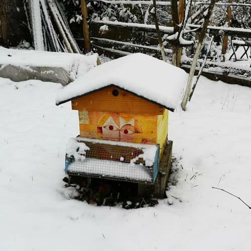 Bed & Breakfast Villa Le Cloky