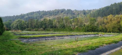 Bed & Breakfast Le Moulin Aux Ecrevisses