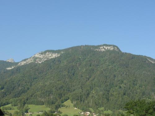 Apartamento Appartement Thones
