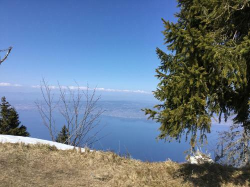 Apartamento L'ours Blanc