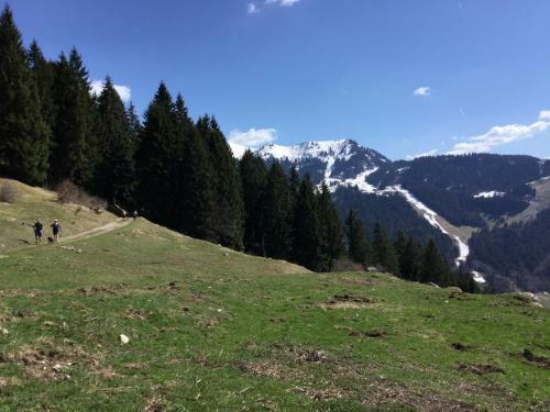 Apartamento L'ours Blanc