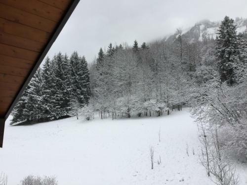 Apartamento L'ours Blanc