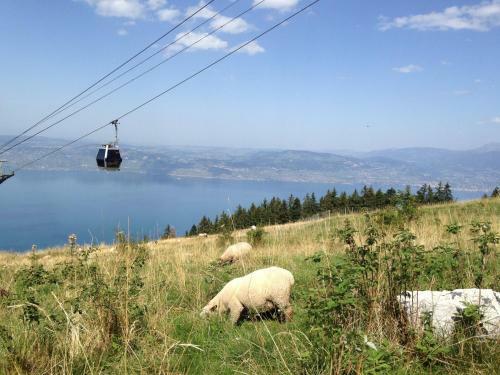 Apartamento Between Lake En Ski Resort