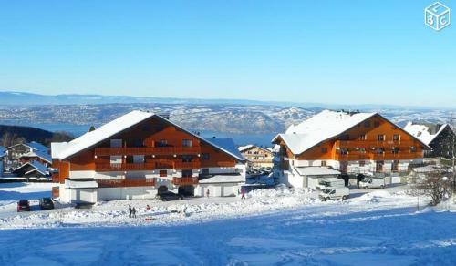 Apartamentos Le Telemark 21