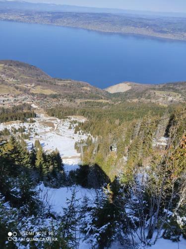 Apartamentos Le Telemark 21