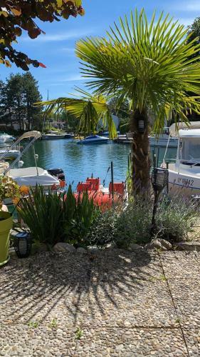 Port Ripaille, Les Gr�bes 24