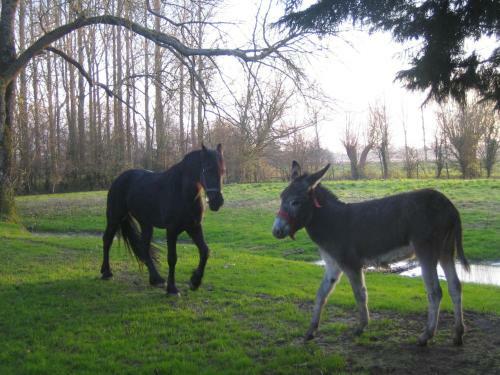 Agroturismo La Ferme De Tigny