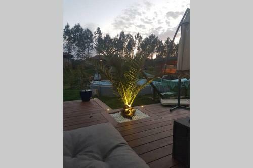 Villa Maison Sud Des Landes Proche Seignosse/ Capbreton / Soustons