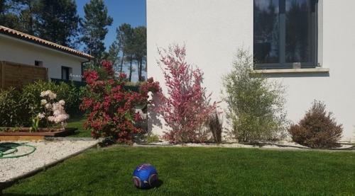 Villa Maison Sud Des Landes Proche Seignosse/ Capbreton / Soustons