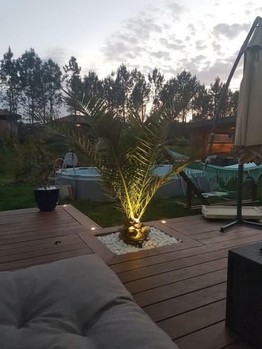 Villa Maison Sud Des Landes Proche Seignosse/ Capbreton / Soustons