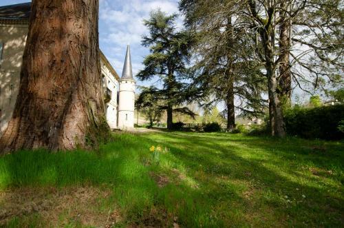 Villa Manoir Le Bourg, Touffailles