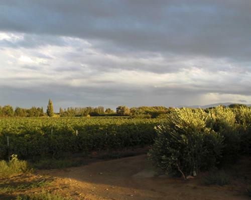 G�te de Charme Du Domaine Pagnon Frigoulette