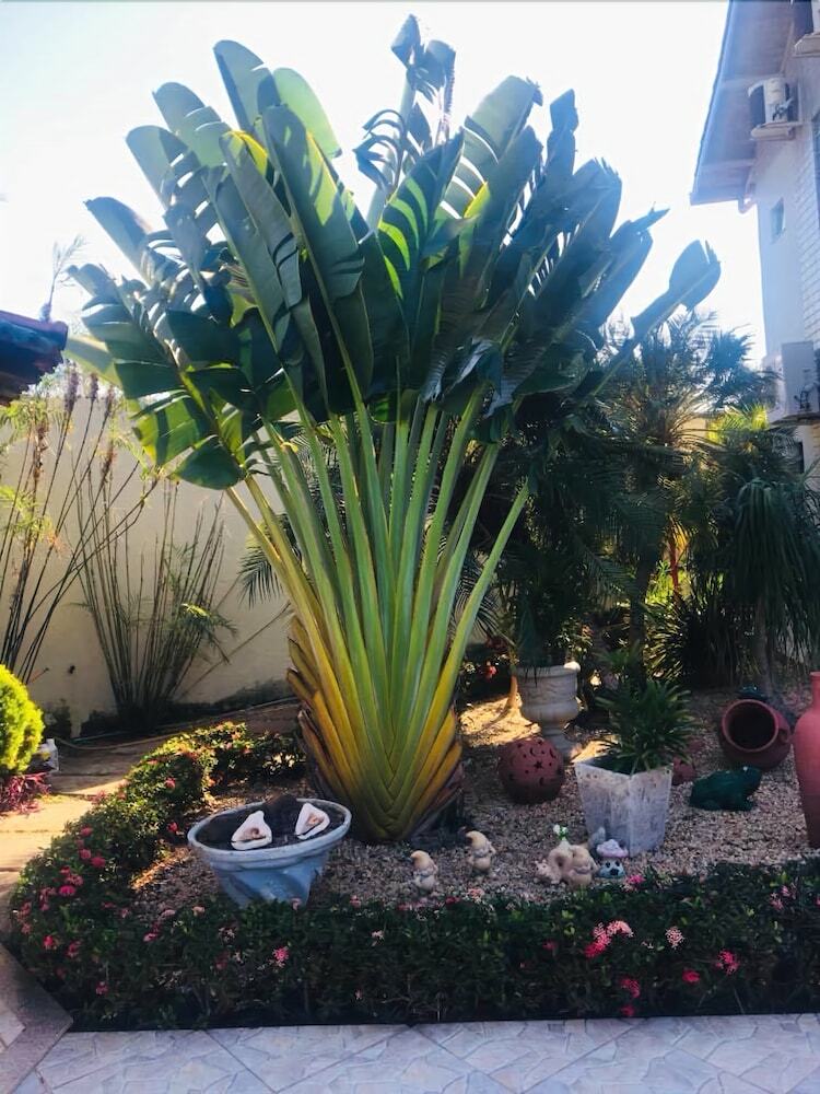 Xingu Praia Hotel