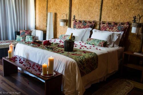 Hotel Bobz Boutique Resort