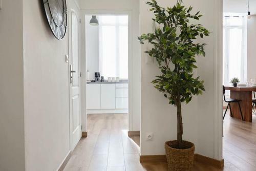 Apartamento Locationstourcoing - Le Winoc