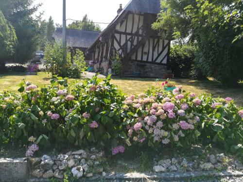 Le Clos Des Hortensias