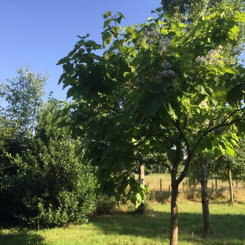 Agroturismo G�te Climatis� de La Haute Rue