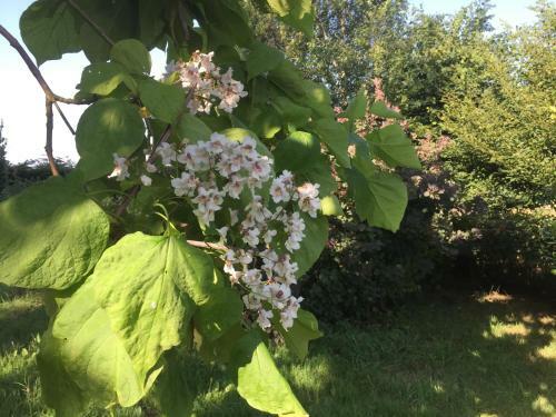 Agroturismo G�te Climatis� de La Haute Rue
