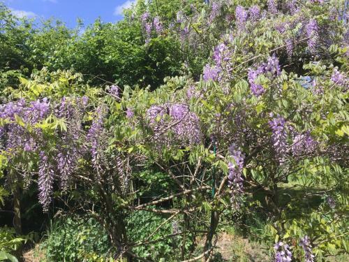 Agroturismo G�te Climatis� de La Haute Rue