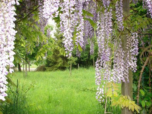Agroturismo G�te Climatis� de La Haute Rue