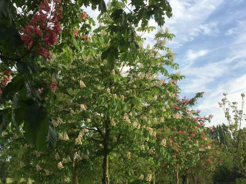 Agroturismo G�te Climatis� de La Haute Rue