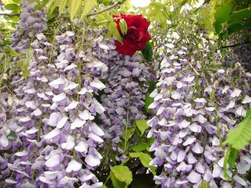 Agroturismo G�te Climatis� de La Haute Rue