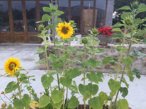 Agroturismo G�te Climatis� de La Haute Rue