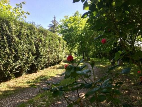 Agroturismo G�te Climatis� de La Haute Rue