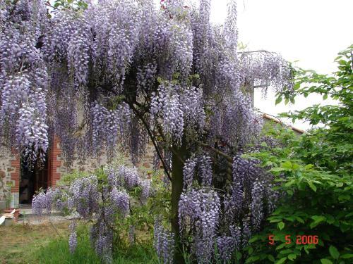 Agroturismo G�te Climatis� de La Haute Rue