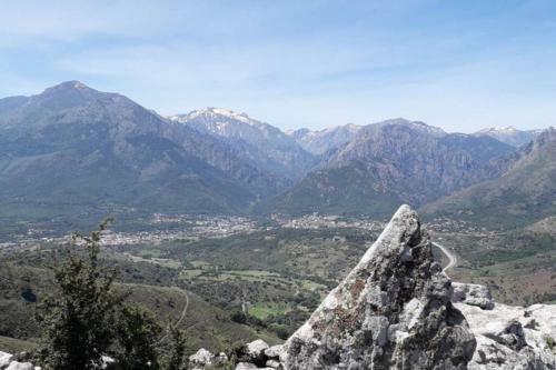 E Scuace