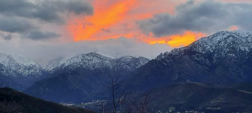 E Scuace