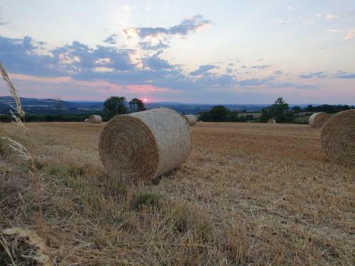 Bed & Breakfast Rouet-nature.fr - Chambre D'h�tes Nid Douillet