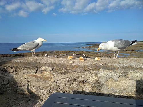Bed & Breakfast La Rose Des Mers