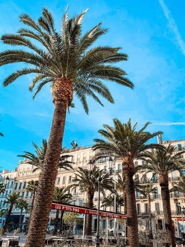 Apartamento Studio Toulon Les Halles