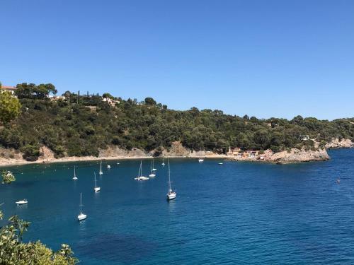 Apartamento Appartement Savonni�res Toulon