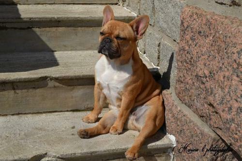 B&B Colvestre