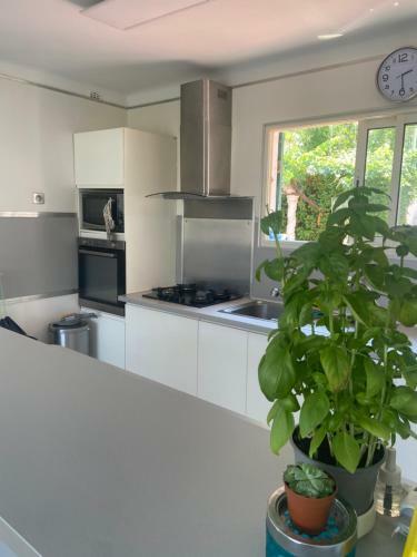 Magnifique Villa Avec Piscine � Toulon