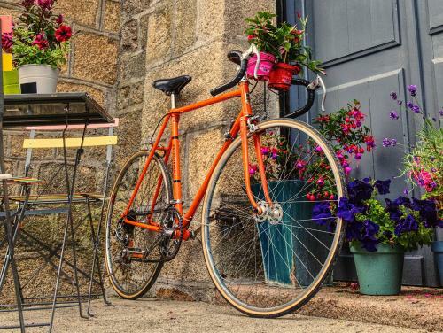 Bed & Breakfast Maison Billot